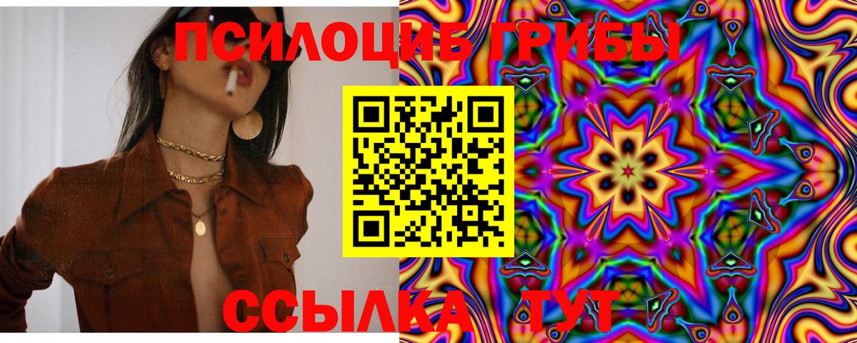 Псилоцибиновые грибы GOLDEN TEACHER  Вход с VPN  Качканар 